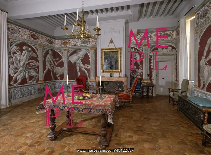 : Chambre dEno'nHercule, Chateau de Flecheres, Ain, France : Chambre dEno'nHercule, Chateau de Flecheres, Ain, France