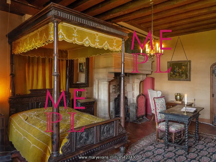 : Chambre de Prie, Chateau de Montpoupon : Chambre de Prie, Chateau de Montpoupon