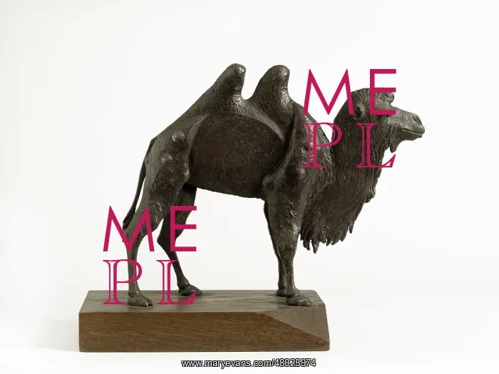 : CHAMEAU - CAMEL : CHAMEAU - CAMEL