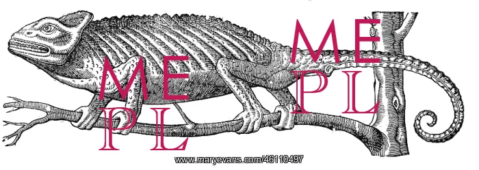 : Chameleon from Topsell's The history of four-footed beasts and serpents : Chameleon from Topsell's The history of four-footed beasts and serpents