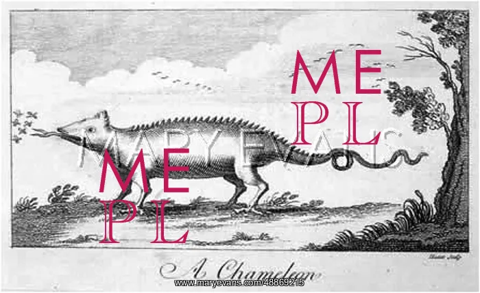  : Chameleon. Early representation of a Chameleon catching flies