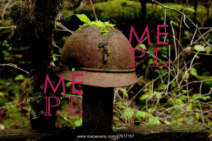 : Champagne - Battlefield grave memorial : Champagne - Battlefield grave memorial