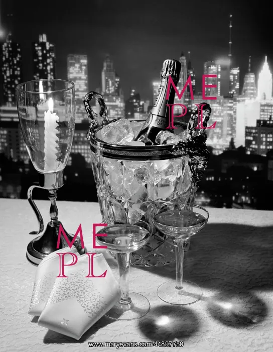 : Champagne Bottle In Ice Bucket : Champagne Bottle In Ice Bucket