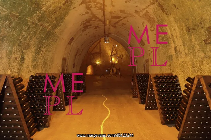 : Champagne cellars, Maison Ruinart, Reims, Marne, France : Champagne cellars, Maison Ruinart, Reims, Marne, France