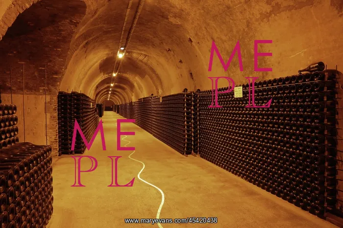 : Champagne cellars, Maison Ruinart, Reims, Marne, France : Champagne cellars, Maison Ruinart, Reims, Marne, France
