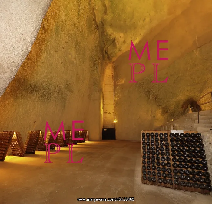  : Champagne cellars, Maison Ruinart, Reims, Marne, France