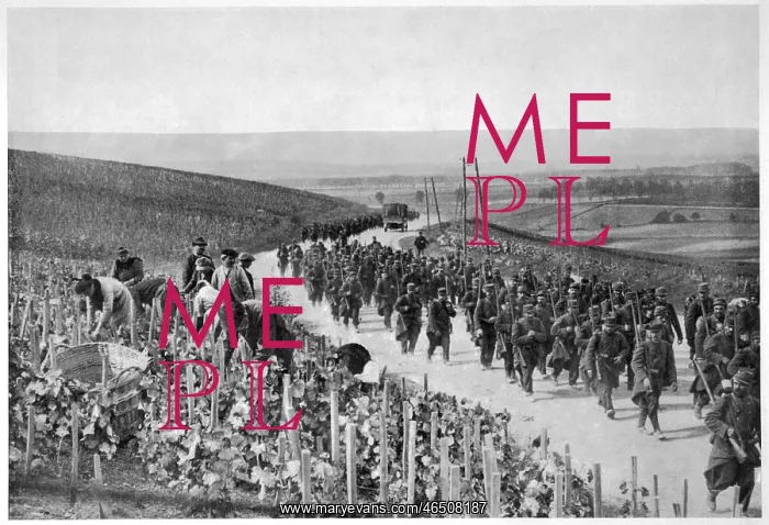 : In Champagne Country : In Champagne Country