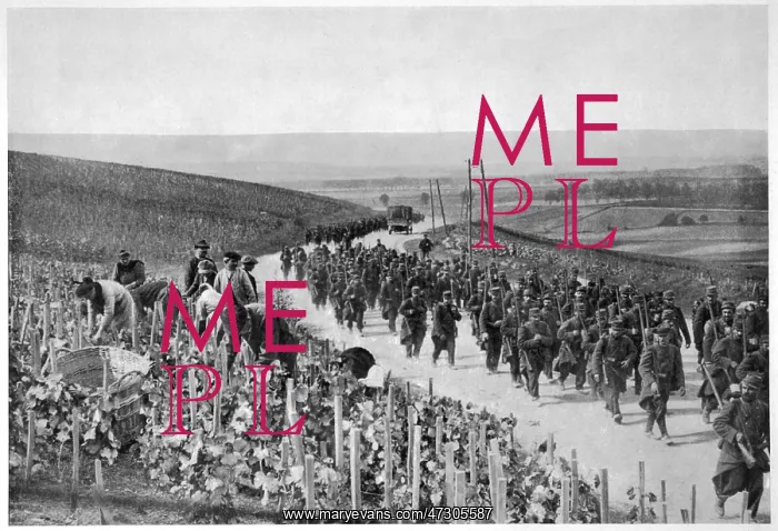 : In Champagne Country : In Champagne Country