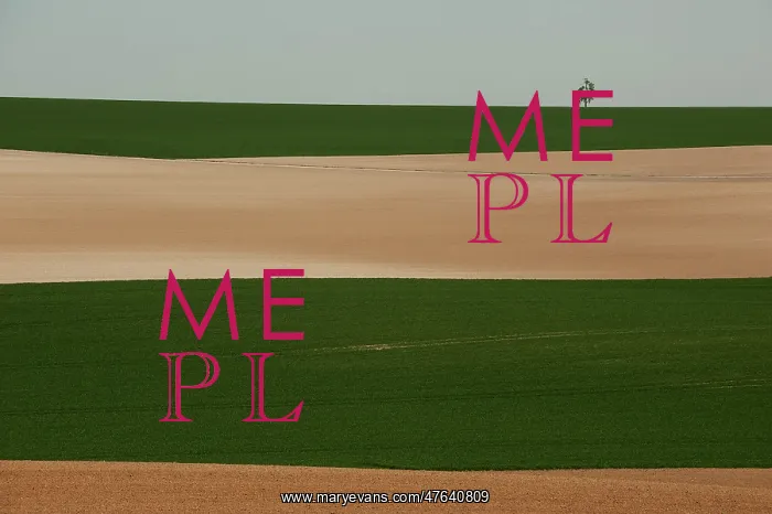 : Champagne landscape : Champagne landscape