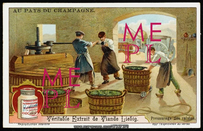  : CHAMPAGNE LIEBIG 3