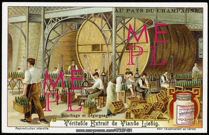  : CHAMPAGNE LIEBIG 5