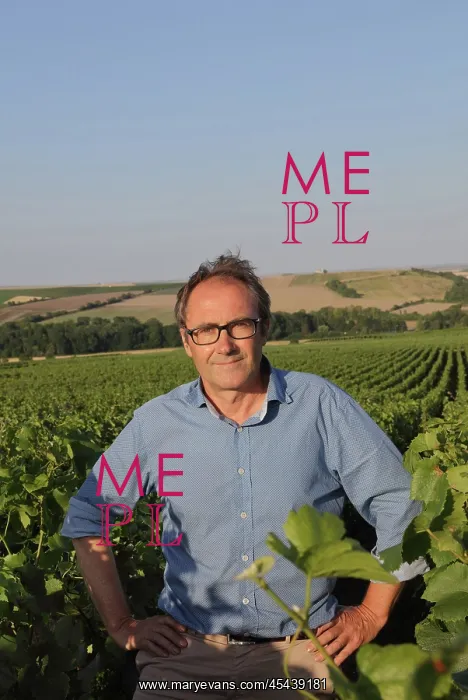: Champagne vineyard owner, Mailly, Bourgogne-Franche-Comte : Champagne vineyard owner, Mailly, Bourgogne-Franche-Comte