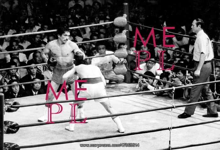 : Champion loses world title : Champion loses world title