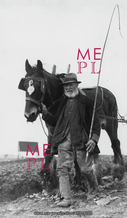  : CHAMPION PLOUGHMAN