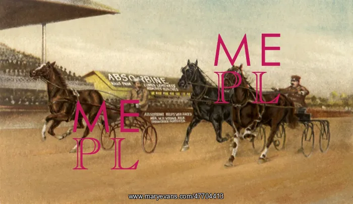  : Champions Harness Race