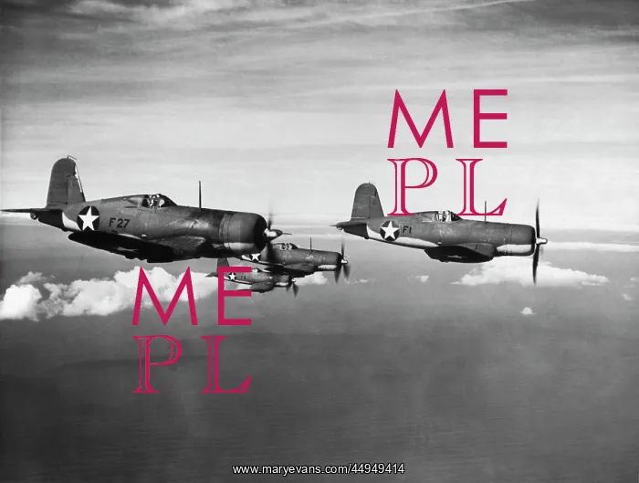: Chance Vought Corsair F4U : Chance Vought Corsair F4U