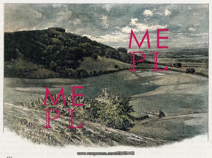 : CHANCTONBURY RING : CHANCTONBURY RING