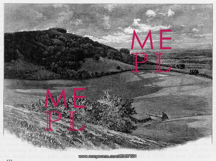 : CHANCTONBURY RING : CHANCTONBURY RING