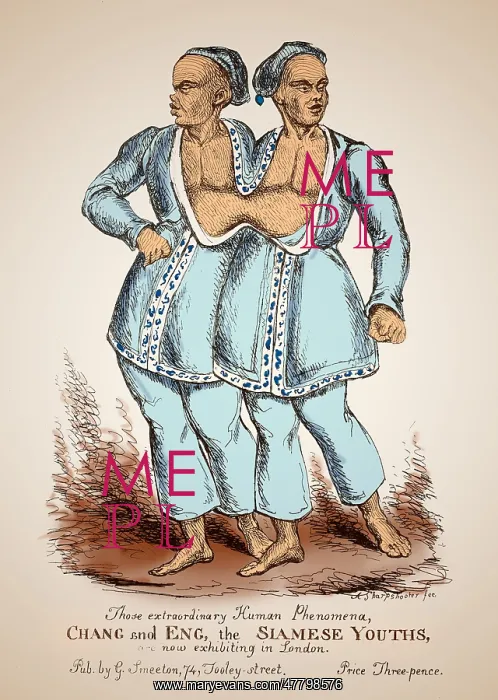 : Chang and Eng Bunker, Siamese Twins : Chang and Eng Bunker, Siamese Twins
