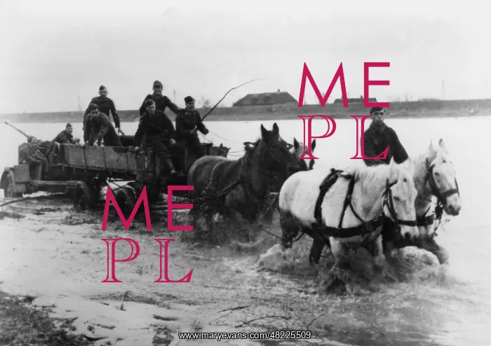 : Changing positions because of flooding, Netherlands, 194 : Changing positions because of flooding, Netherlands, 194