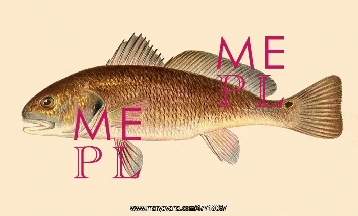  : Channel Bass