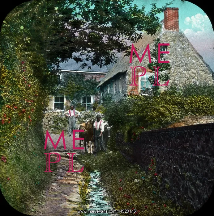: The Channel Islands - Water Lane : The Channel Islands - Water Lane