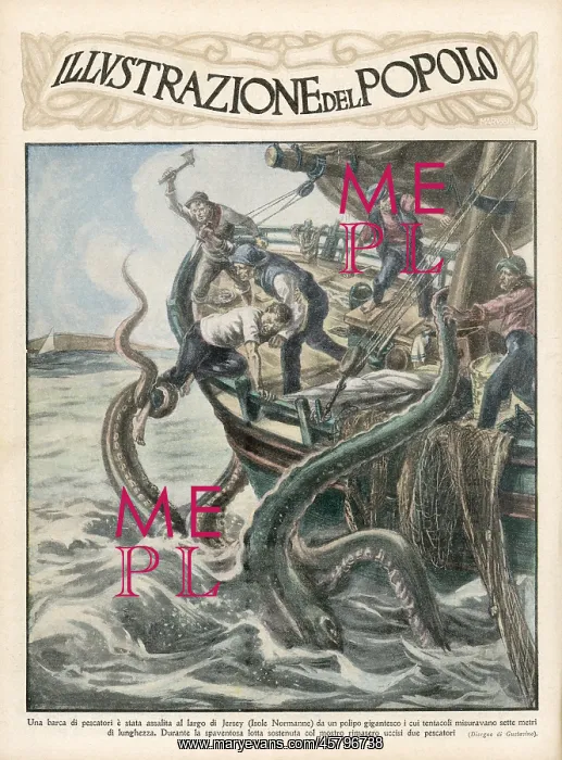 : CHANNEL ISLES SQUID : CHANNEL ISLES SQUID