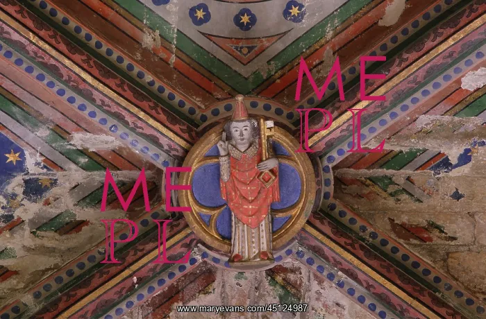 : Chapel ceiling, Cathedral of Saint Maurice de : Chapel ceiling, Cathedral of Saint Maurice de