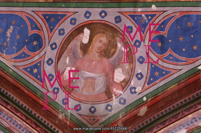 : Chapel ceiling, Cathedral of Saint Maurice de : Chapel ceiling, Cathedral of Saint Maurice de