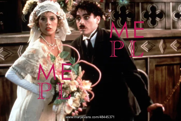 : CHAPLIN MARISA TOMEI, ROBERT DOWNEY JNR CHAPLIN : CHAPLIN MARISA TOMEI, ROBERT DOWNEY JNR CHAPLIN