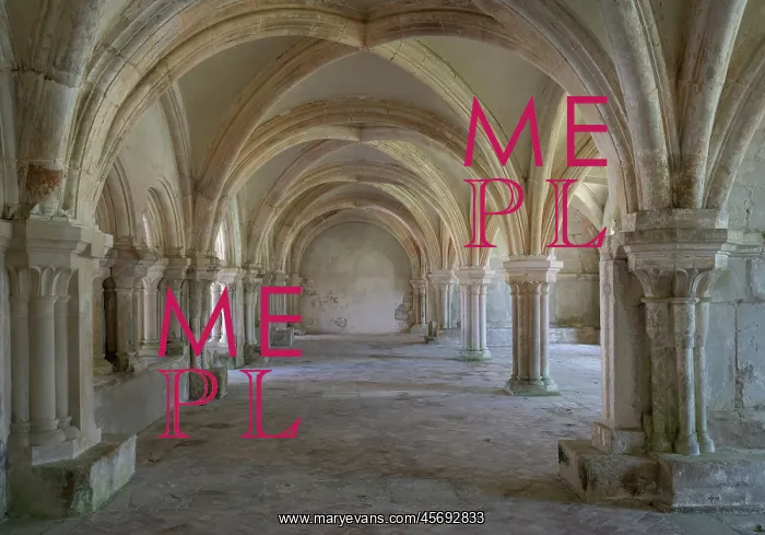 : Chapter House, Abbaye de Fontenay : Chapter House, Abbaye de Fontenay