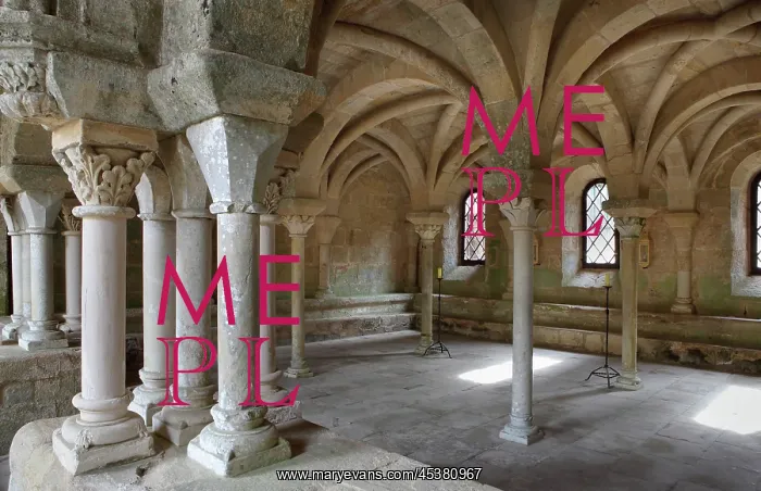 : Chapter house of Fontfroide Abbey or l'Abbaye : Chapter house of Fontfroide Abbey or l'Abbaye