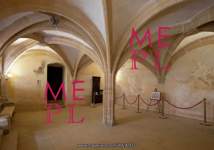 : Chapter House, Prieure Saint-Martin, Vaux-en-Beaujolais : Chapter House, Prieure Saint-Martin, Vaux-en-Beaujolais