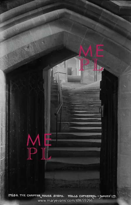 : The Chapter House Steps : The Chapter House Steps