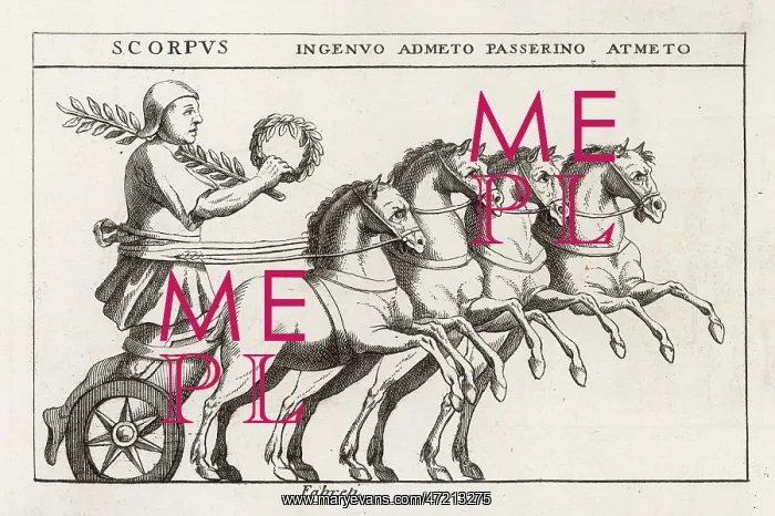 : Chariot Race Winner : Chariot Race Winner