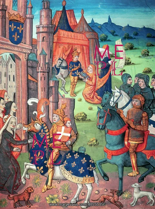 : Charlemagne's paladins : Charlemagne's paladins