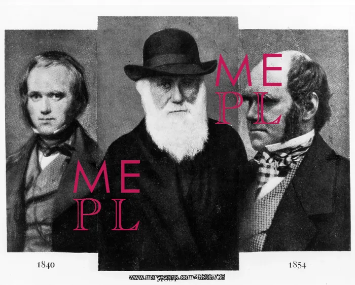 : Charles Darwin (1809-1882), at age 31 in ? : Charles Darwin (1809-1882), at age 31 in ?