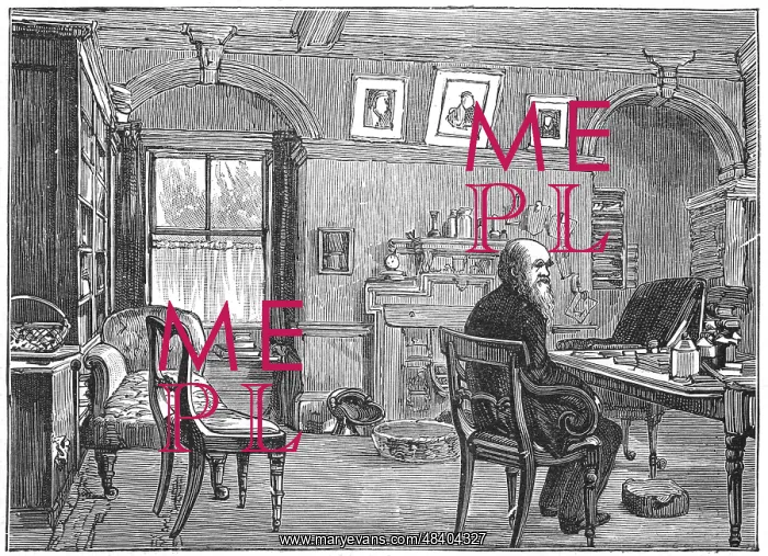 : Charles Darwin (1809-1882) in his study at Down : Charles Darwin (1809-1882) in his study at Down