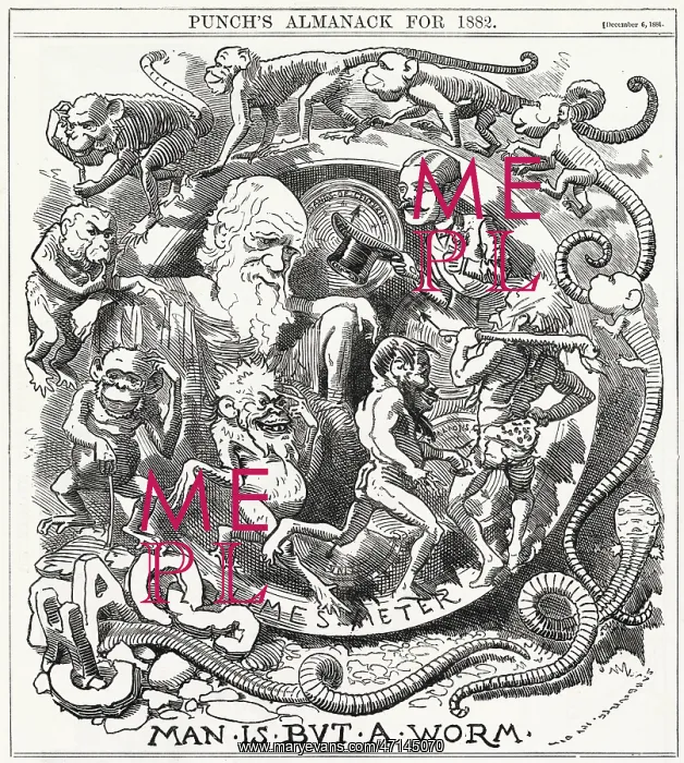  : Charles Darwin