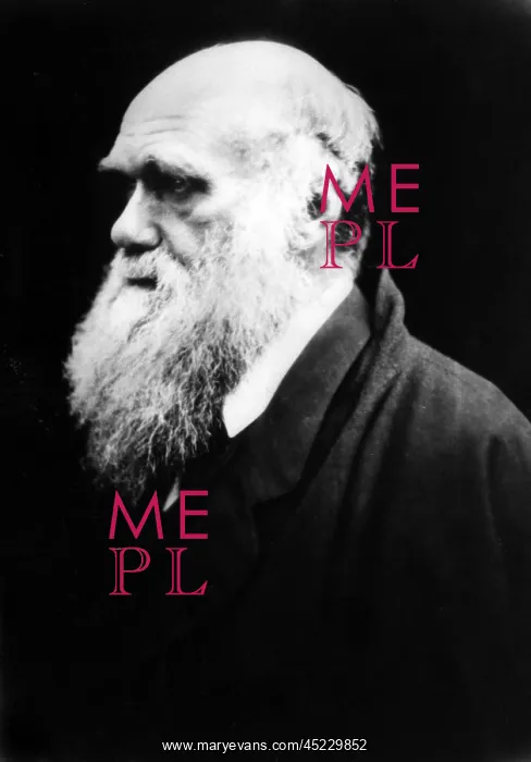 : Charles Darwin, c. 1880. ? : Charles Darwin, c. 1880. ?