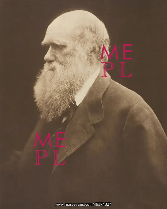 : Charles Darwin, ca. 1868, by Julia Margaret : Charles Darwin, ca. 1868, by Julia Margaret