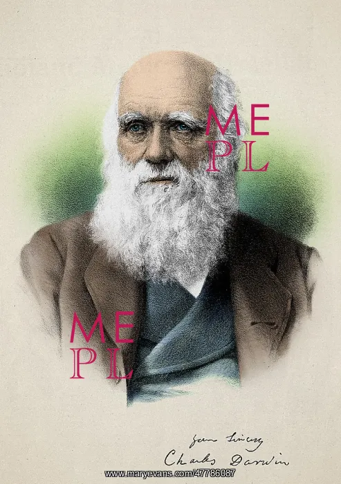 : Charles Darwin, English Naturalist : Charles Darwin, English Naturalist