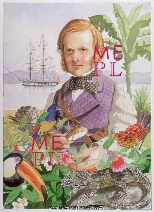 : Charles Darwin during his voyage on the Beagle : Charles Darwin during his voyage on the Beagle