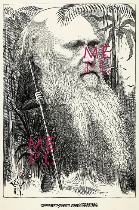 : Charles Darwin as a wild man of the jungle : Charles Darwin as a wild man of the jungle