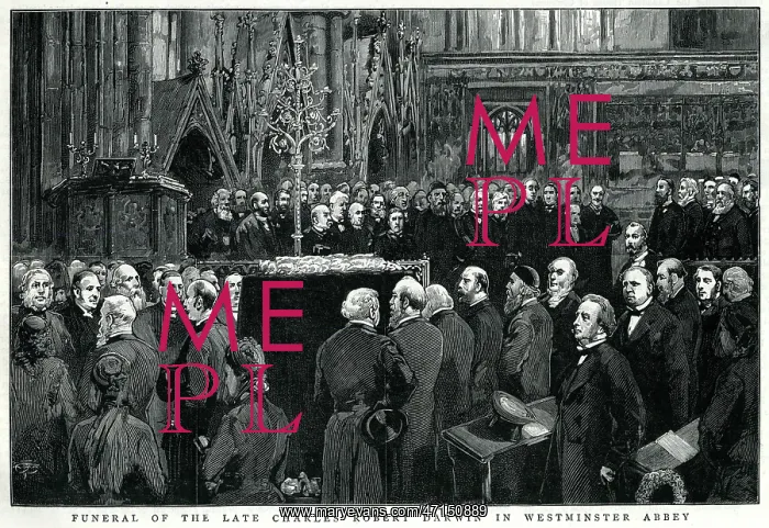 : Charles Darwin's funeral 1882 : Charles Darwin's funeral 1882