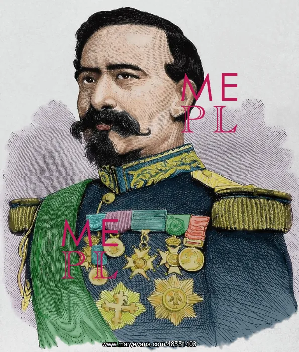 : Charles Denis Bourbaki (1816-1897). Colored engraving : Charles Denis Bourbaki (1816-1897). Colored engraving