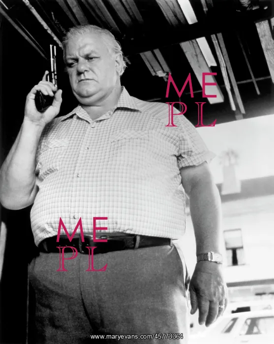 : Charles Durning - actor : Charles Durning - actor