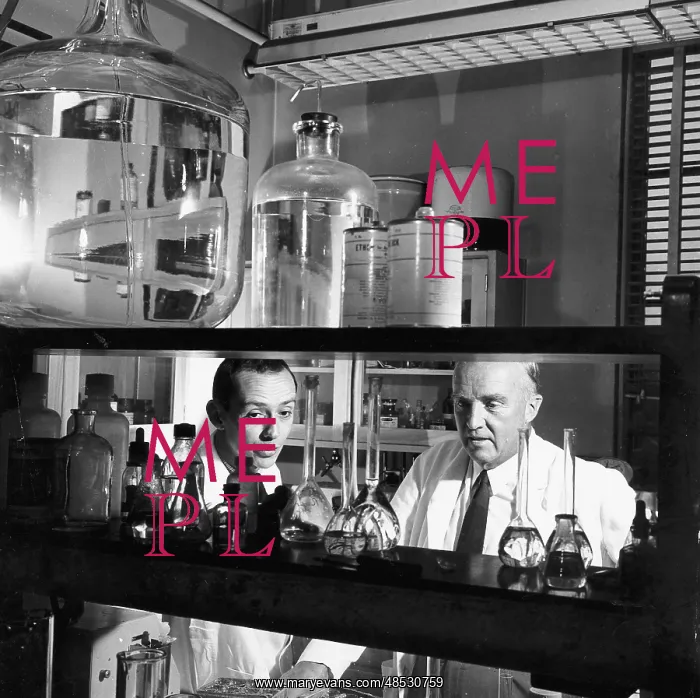 : Charles Herbert Best (1899-1978) in the laboratory : Charles Herbert Best (1899-1978) in the laboratory