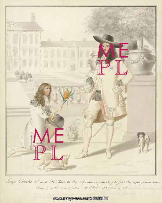 : CHARLES II PINEAPPLE : CHARLES II PINEAPPLE