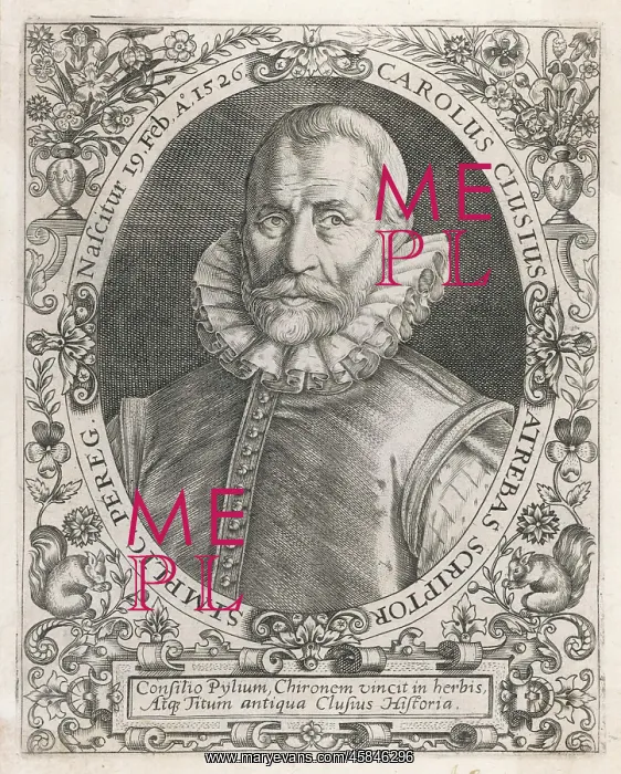 : CHARLES DE L'ECLUSE : CHARLES DE L'ECLUSE